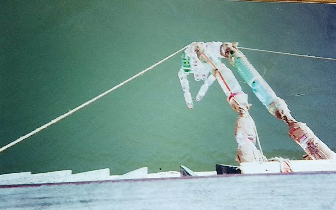The Diver