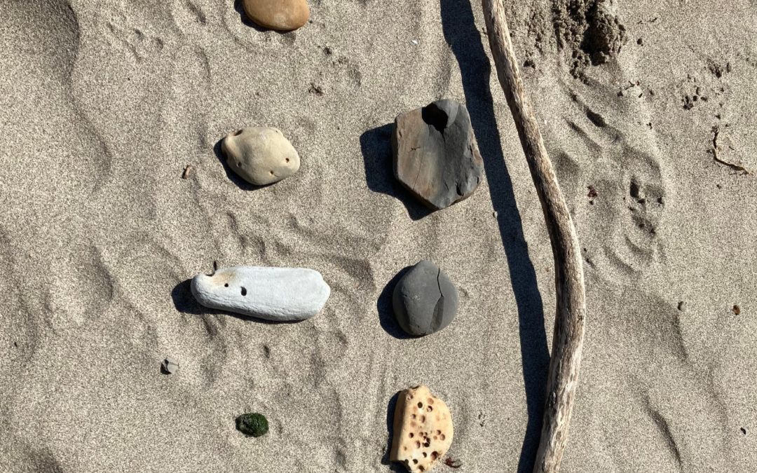 Agate Beach